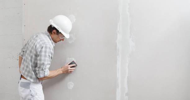Best Mold Removal for HVAC Installations  in Sun Valley, ID