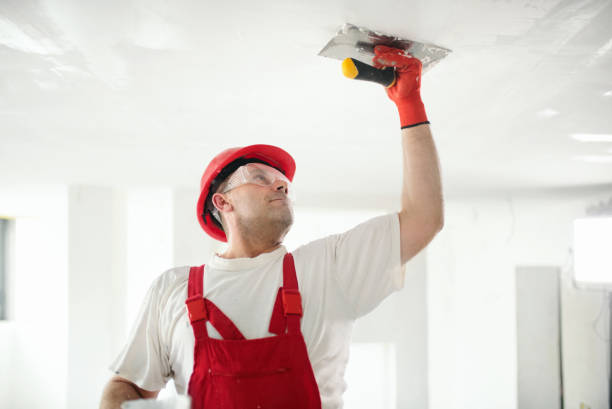 Best Environmental Consulting for Mold Prevention  in Sun Valley, ID