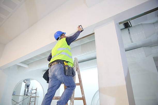 Best Mold Removal for HVAC Installations  in Sun Valley, ID