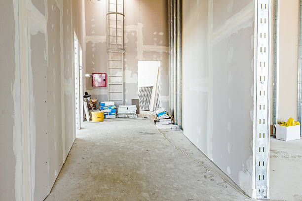 Best Forensic Mold Investigation  in Sun Valley, ID